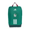 Mexico Shoebag